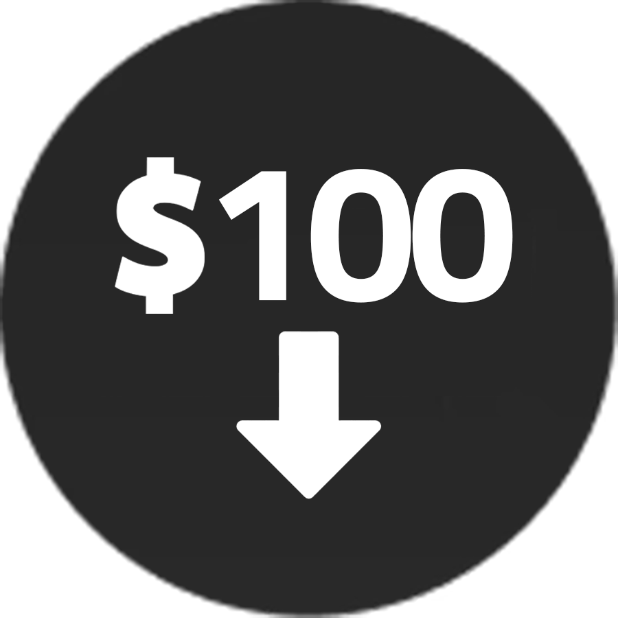 $100 & Under