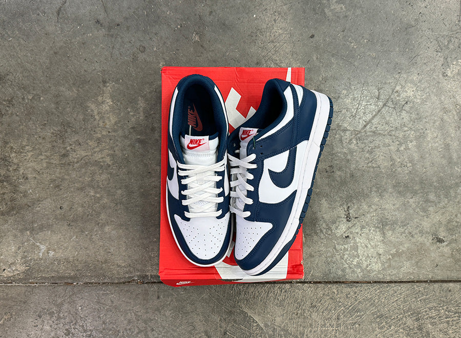 Nike Dunk Low Valerian Blue Size 9.5 (NEW) - 3 Year Anniversary