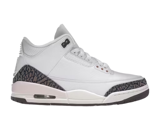 Jordan 3 Retro Neapolitan Dark Mocha (Women's) (Pre-Owned)