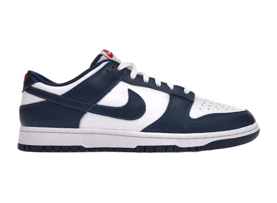 Nike Dunk Low Valerian Blue (Pre-Owned)