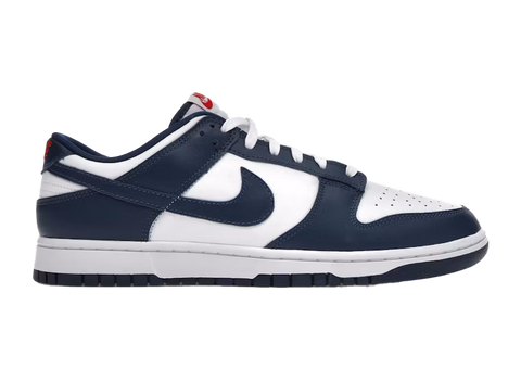Nike Dunk Low Valerian Blue (Pre-Owned)