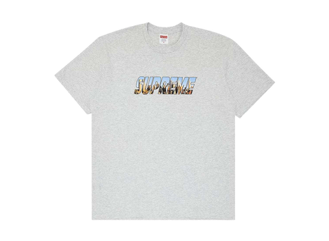 Supreme Gotham Tee Ash Grey