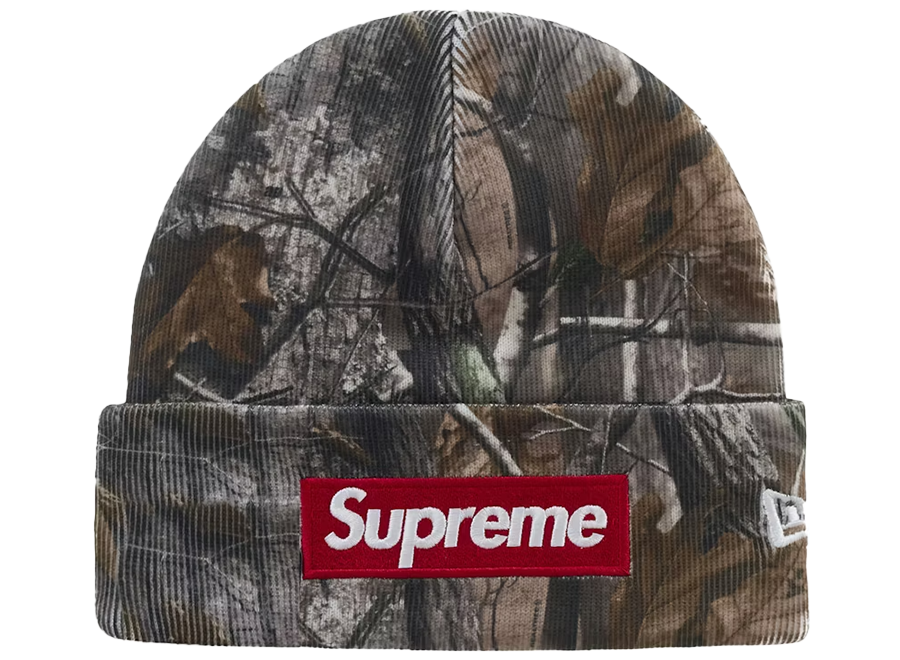 Supreme New Era Box Logo Beanie (FW25) Realtree AP Camo