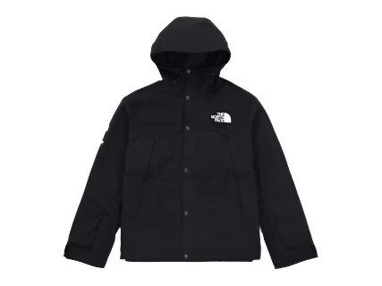 Supreme The North Face Arc Logo Mountain Parka Black