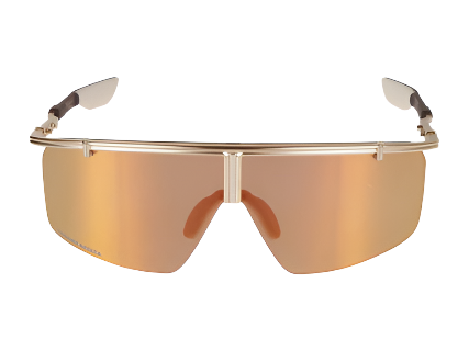 Chrome Hearts Clitanic Sunglasses (Pre-Owned)