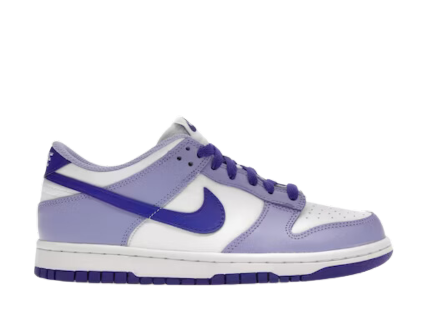 Nike Dunk Low Blueberry (GS)