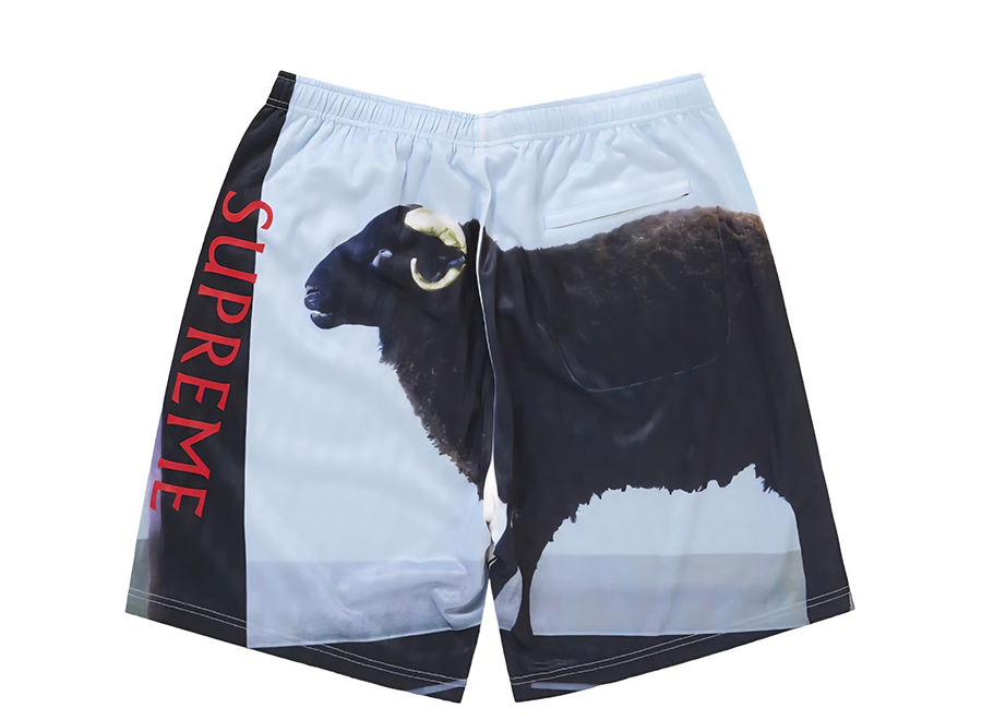 Supreme Damien Hirst Soccer Short Black