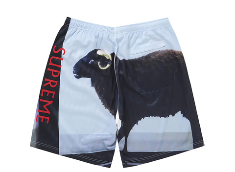 Supreme Damien Hirst Soccer Short Black